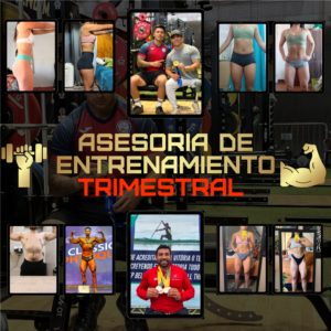 Plan de entrenamiento trimestral
